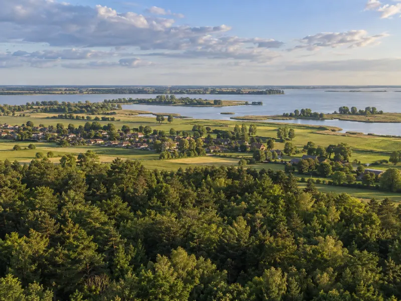 Sfeerillustratie: Illustratieve landschapsoverzicht met bos en water.